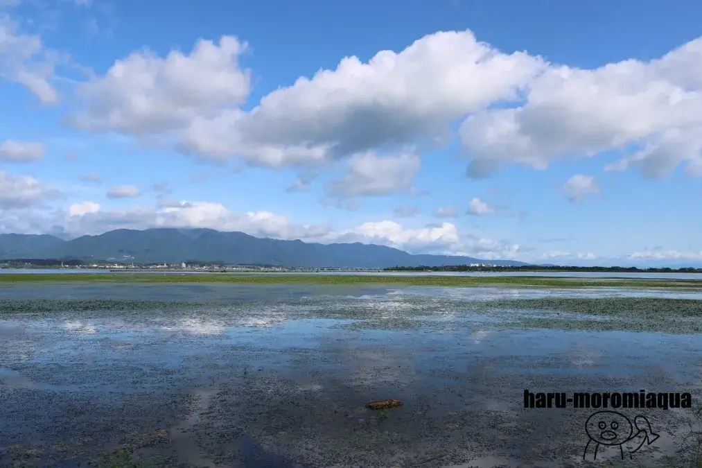 琵琶湖