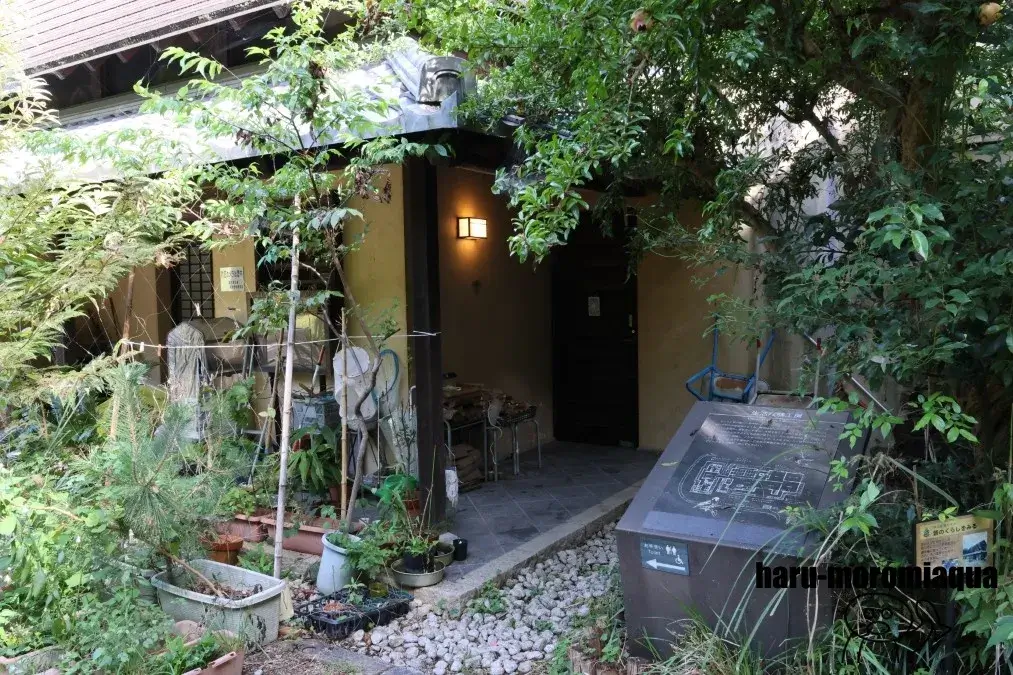 琵琶湖博物館