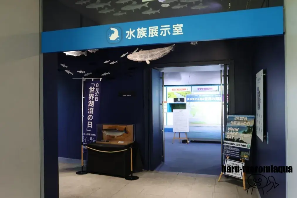 琵琶湖博物館