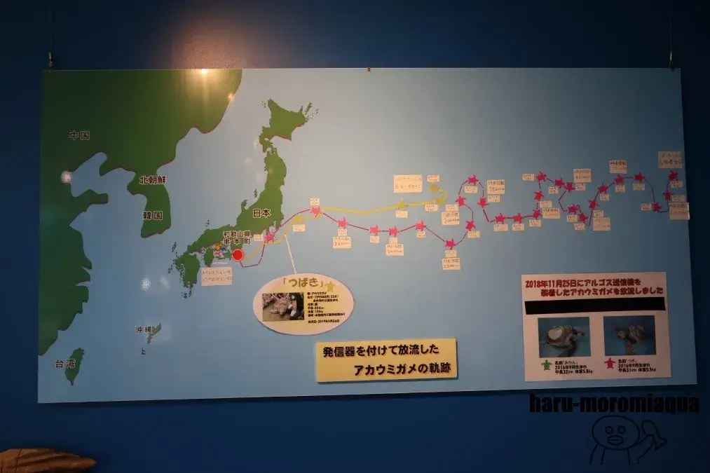 串本海中公園
