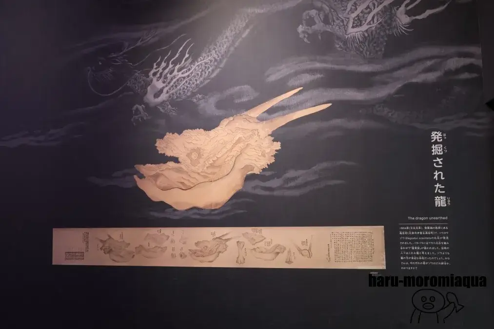 琵琶湖博物館