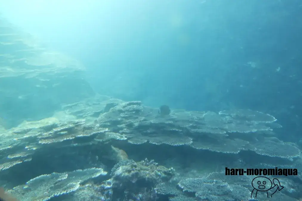 串本海中公園　海中展望塔
