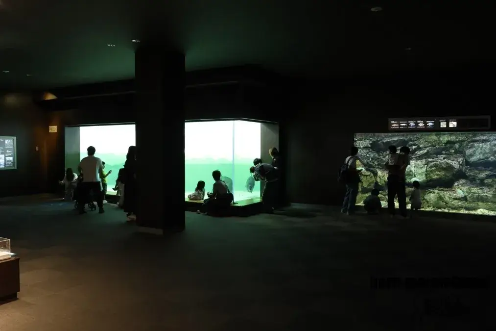 琵琶湖博物館