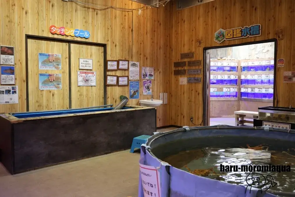 すさみ町立エビとカニの水族館