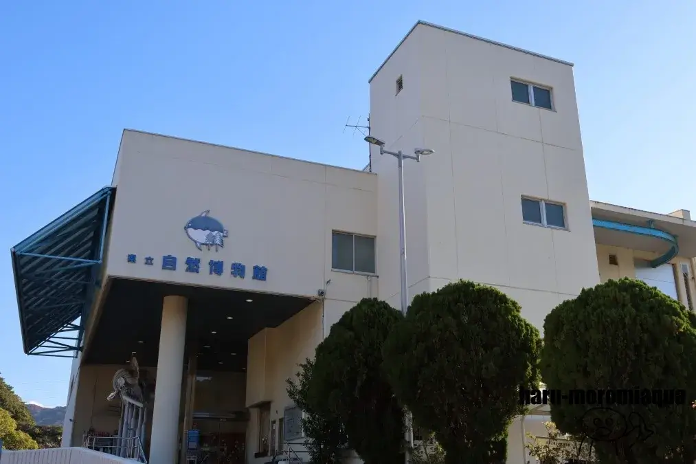 和歌山県立自然博物館