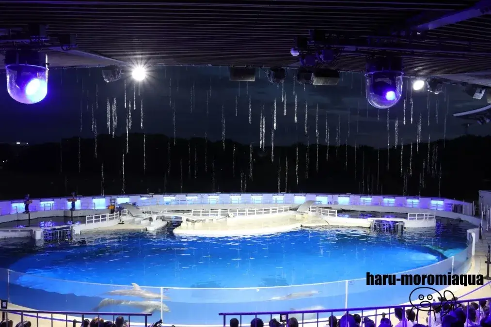 京都水族館　ナイト