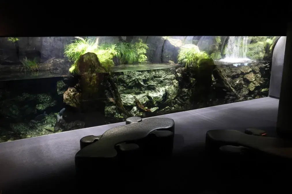 京都水族館