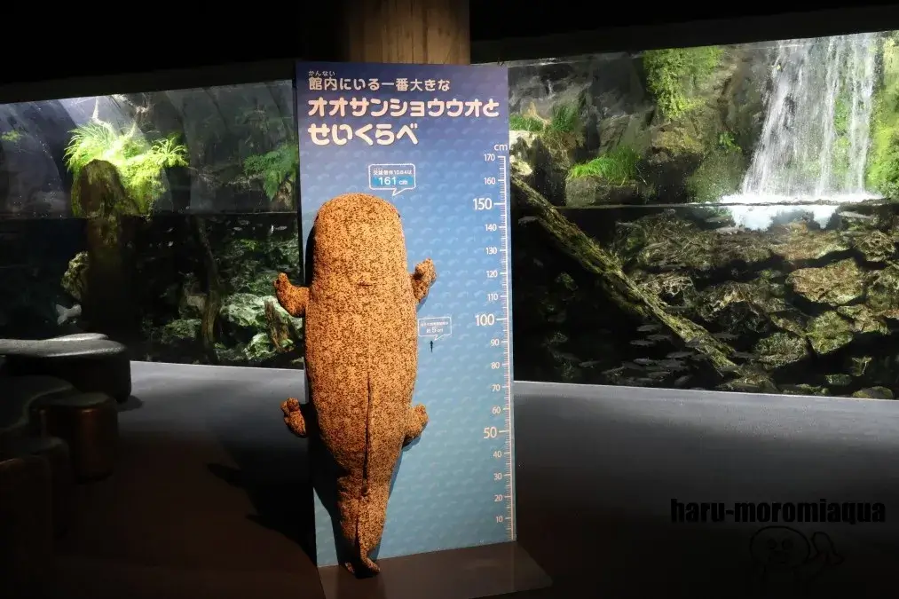 京都水族館