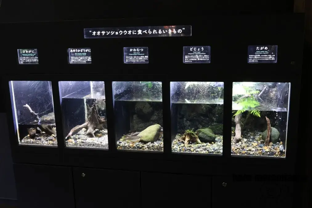京都水族館