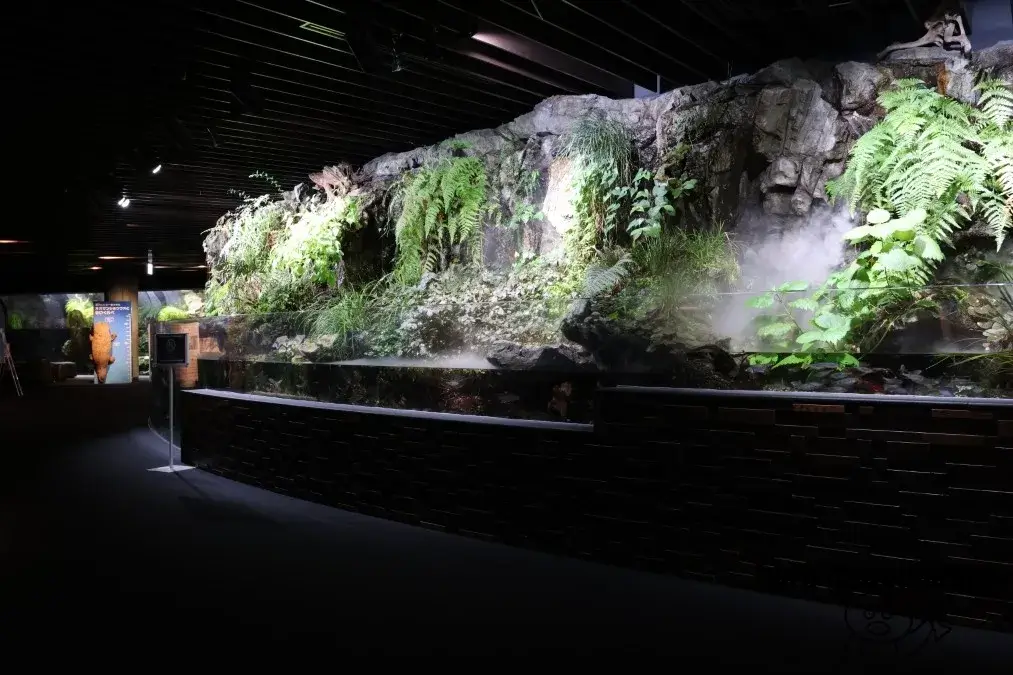 京都水族館