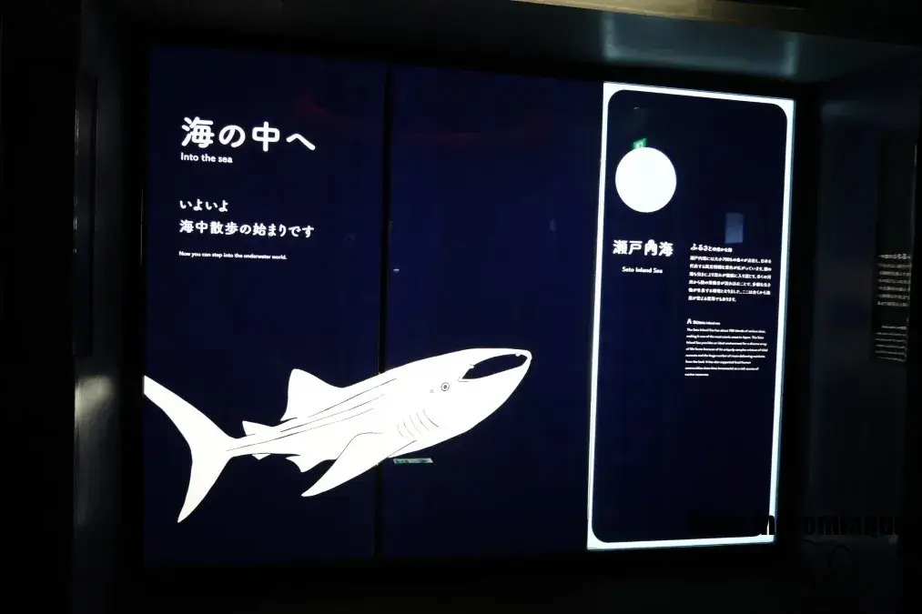 海遊館　太平洋