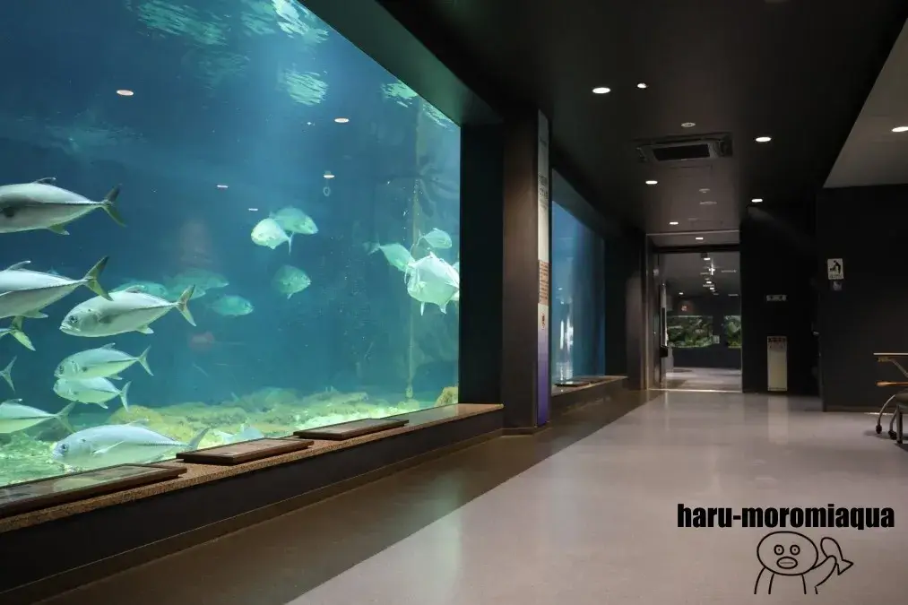 京都大学白浜水族館