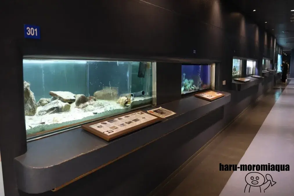 京都大学白浜水族館