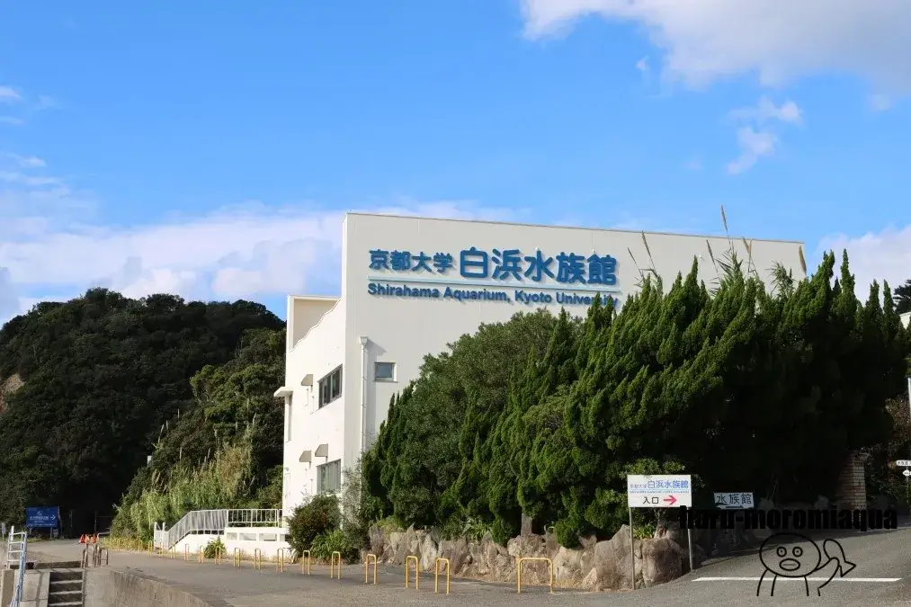 京都大学白浜水族館