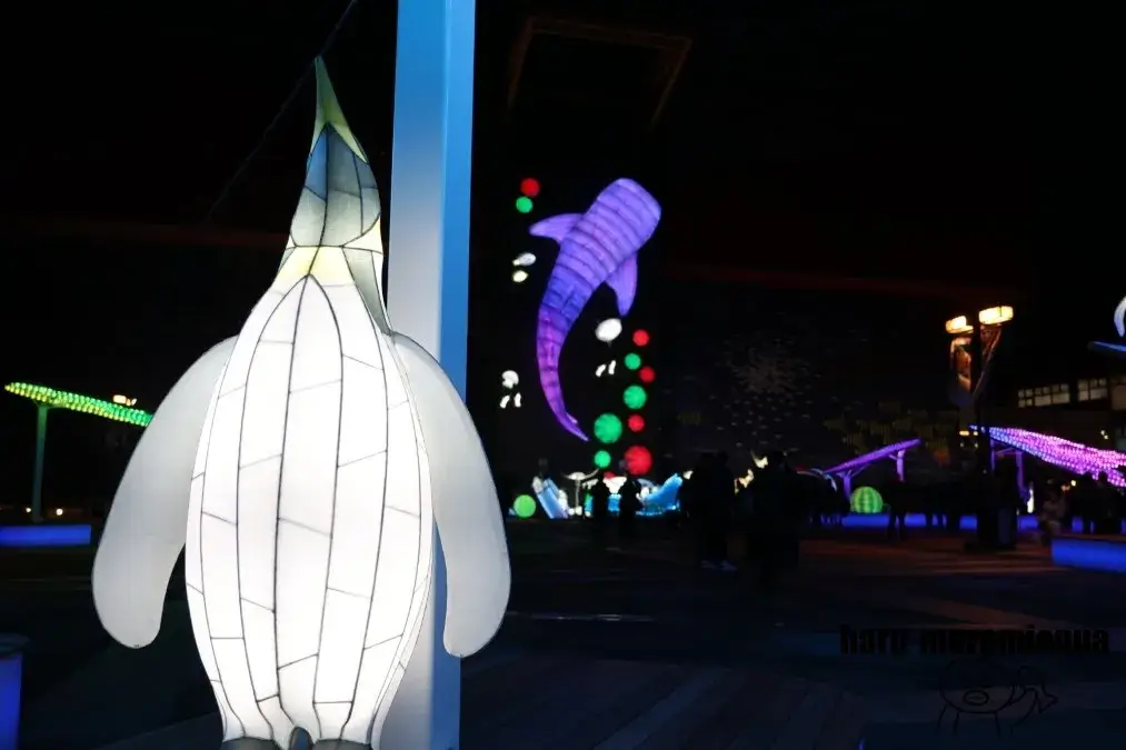 海遊館　イルミネーション