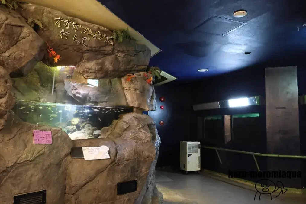 赤目滝水族館
