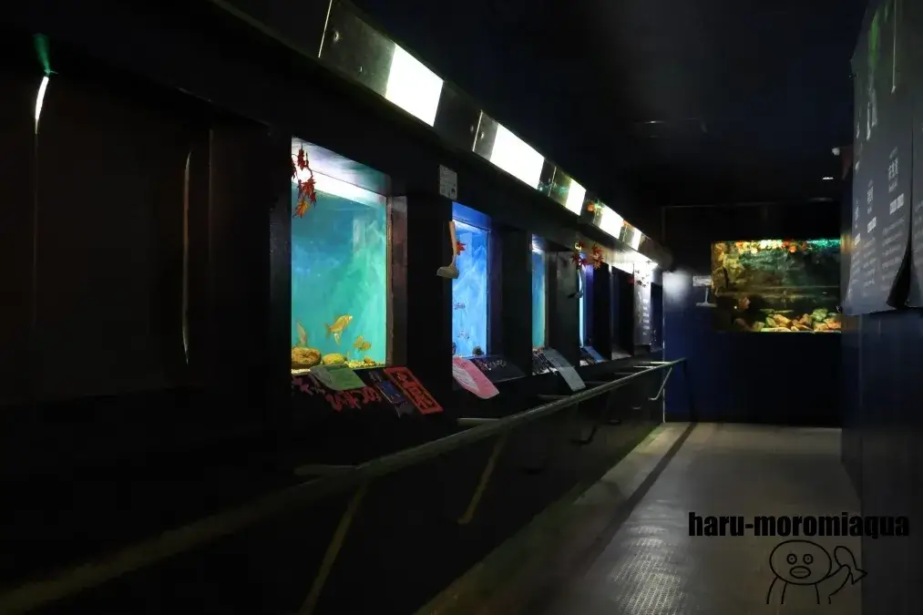 赤目滝水族館