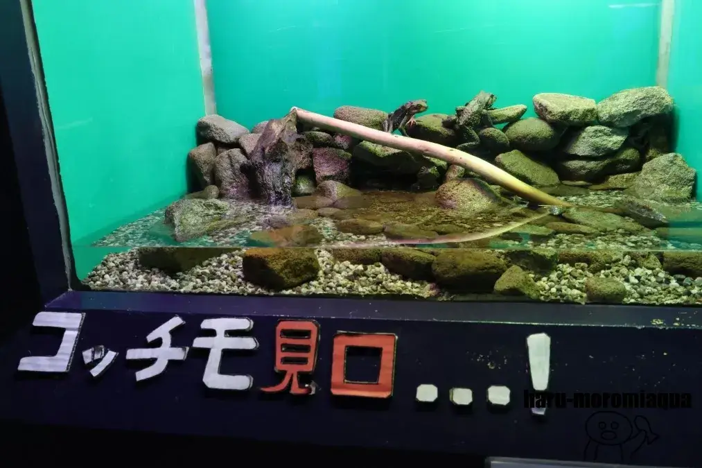 赤目滝水族館