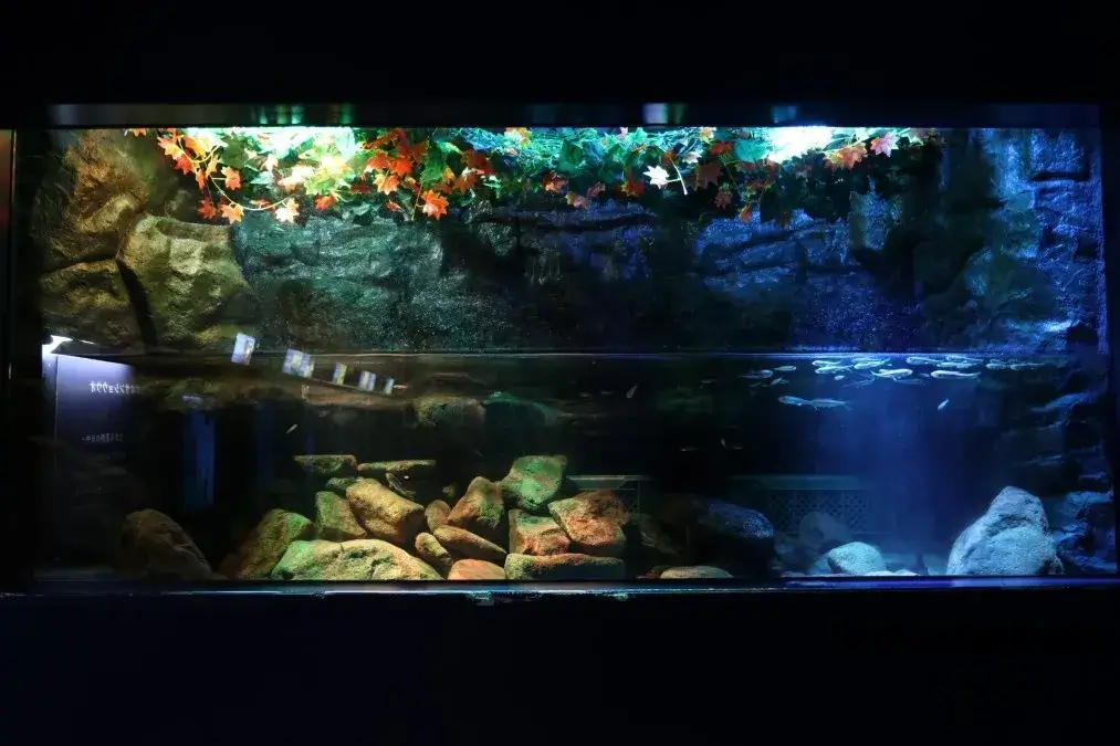 赤目滝水族館