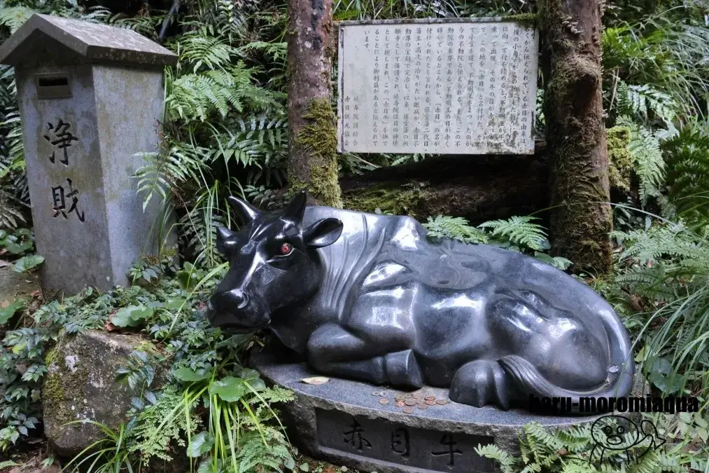 赤目四十八滝