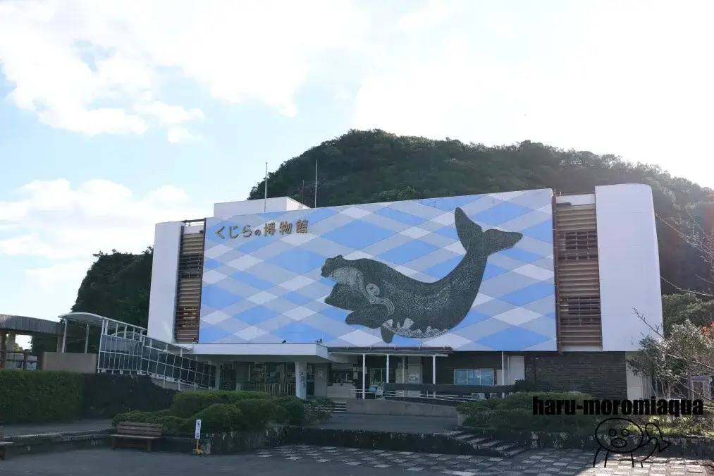 太地町立くじらの博物館