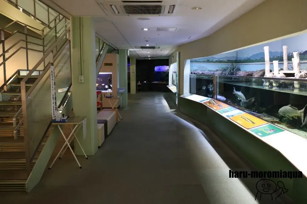 姫路市立水族館