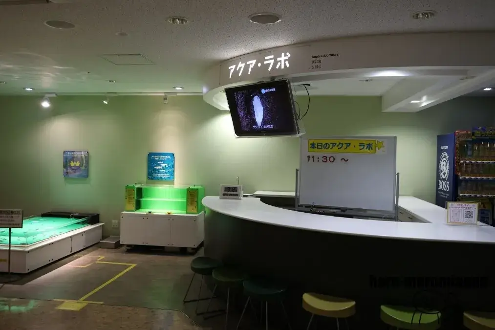 姫路市立水族館
