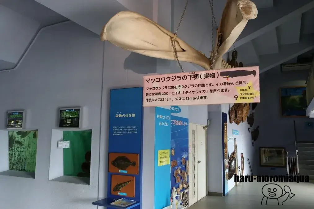 姫路市立水族館