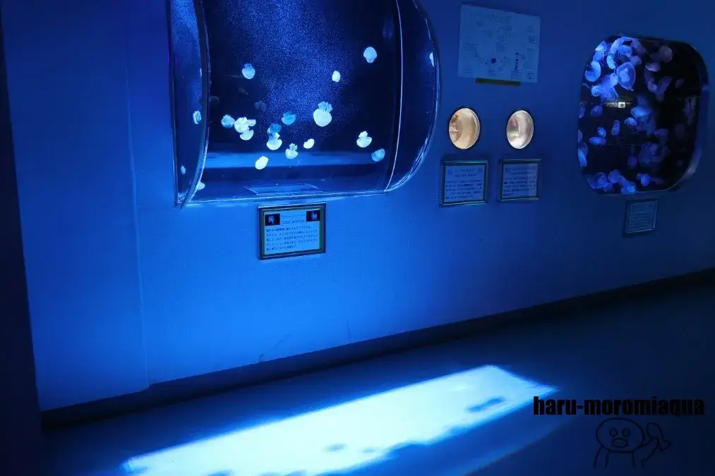 姫路市立水族館