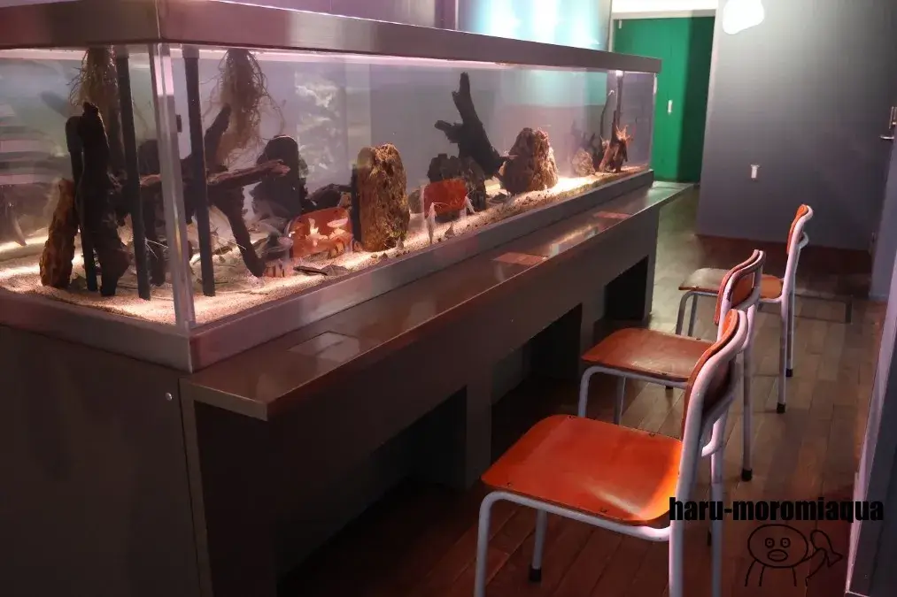 みなとやま水族館
