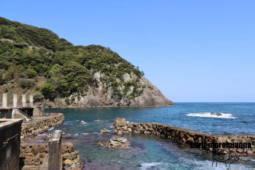 城崎マリンワールド　日和山海岸