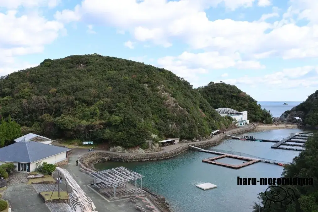 太地町立くじらの博物館