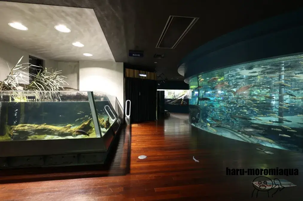 山梨県立富士湧水の里水族館
