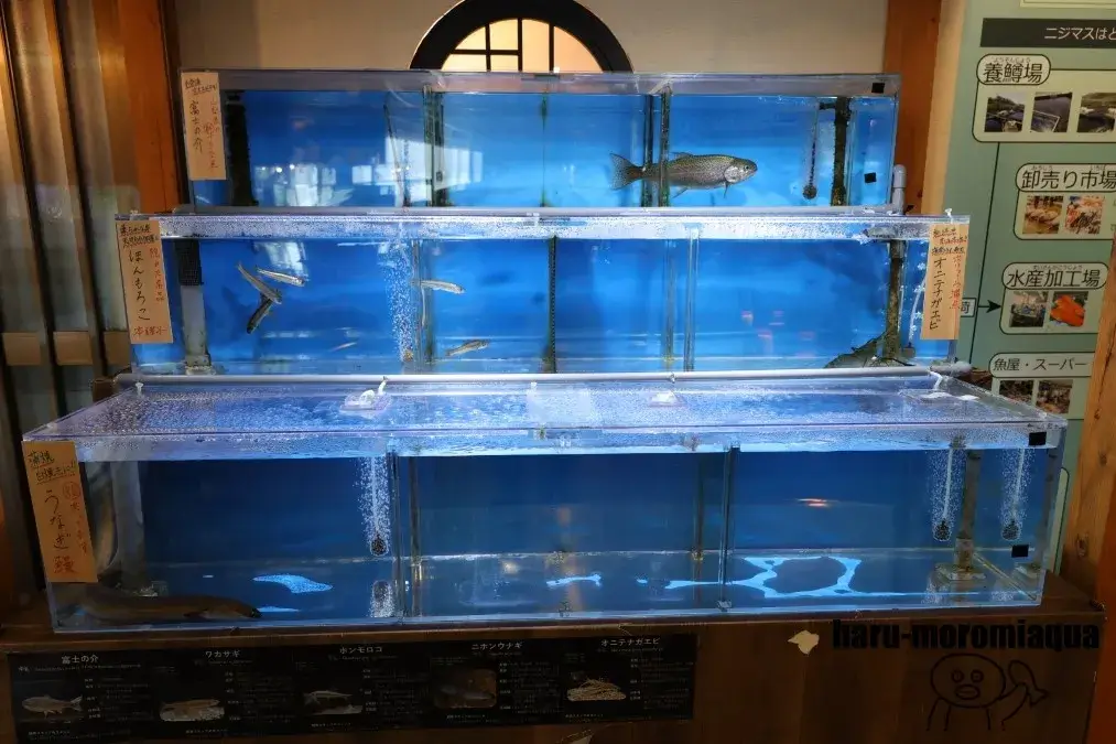 山梨県立富士湧水の里水族館