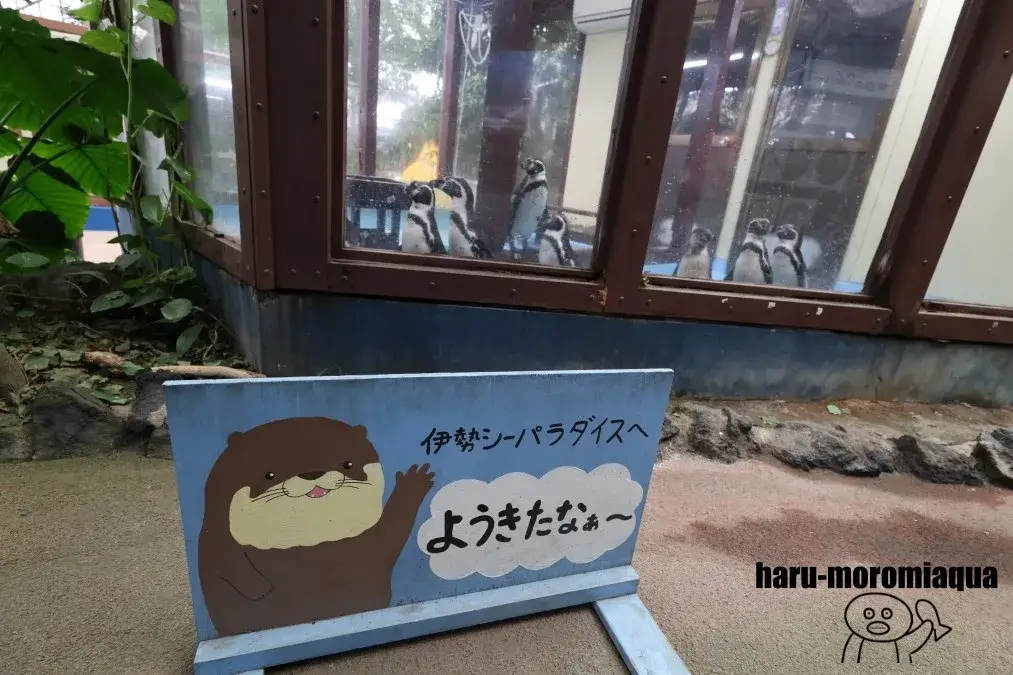 伊勢シーパラダイス