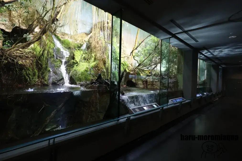 鳥羽水族館