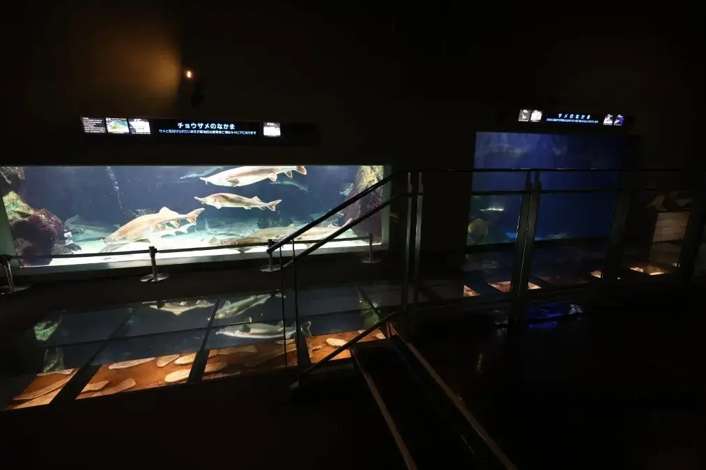 鳥羽水族館